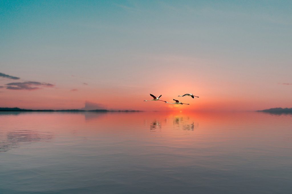 landscape, sea, sky